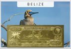 Belize 25 Dollars 1984 ND Red Footed Booby (gold) in plastic envelope wi... 64,95 EUR  + 17,00 EUR frais d'envoi