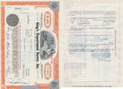 USA Stock Share USA OLD SHARE STOCK BOND Kings Department Stores 1972 -