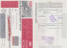 USA Stock Share USA OLD SHARE STOCK BOND Builders Investment Group 1977 -