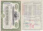 USA Stock Share USA OLD SHARE STOCK BOND FOOD FAIR STORES 1957 XF -