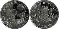 Somalia 100 Shillings Somalia 100 Shillings 2014 Afrikanische Elefant in TOP ERHALTUNG!!! -