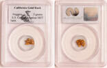 USA gold nuggets California Gold Rush Nuggets, S.S. Central America -