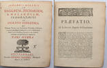 Netherlands - Amsterdam Vellum 1504 pages, 17x21x7cm -