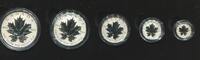 Kanada, 15 Dollars Fractional Set 25 Jahre Maple Leaf, -