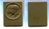 Medicina in nummis, Br.Plakette Vereins-Reserve Spithal vom Roten Kreuz Wien, -