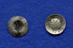 Saalfeld, Hohlpfennig, Städtische Münzstätte, -