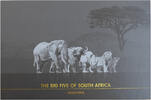 The Big Five of South Africa - leeres Etui für 10 Münzen - -