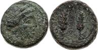 GRIECHEN. ITALIEN AE 17.0 250-207 v. Chr. -