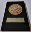 België Historiepenning 1956 Plaquette of presse-papier Vinkenclub 