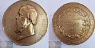 United States of America Historical Medal Rutherford B. Hayes - Presidential Inaugurational medal -
