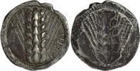 MAGNA GRAECIA AR Nomos Lucania - City of Metapontion -
