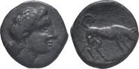 Sicily. Tetras Segesta -