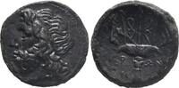 Sicily. 275-215 BC. Syracuse. Hieron ss+ 145,00 EUR  + 8,00 EUR frais d'envoi
