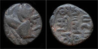 India drachm Kangra Kingdom Triloka Chandra II AE drachm -