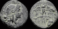 Mysia AE17 Mysia Pergamon AE17 owl standing facing -