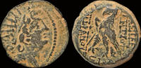 Seleucid Kingom AE18 Seleucid Kingdom Antiochos VIII Epiphanes Grypos AE18 eagle standing right -