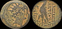 Seleucid Kingom AE18 Seleucid Kingdom Antiochos VIII Epiphanes Grypos AE18 eagle standing right -