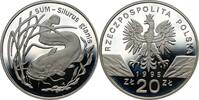 POLAND / POLEN 20 zlotych 1995 Sum, Silurus glanis PP 400,00 EUR  + 10,00 EUR frais d'envoi