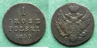Polen 1 Grosz Nikolaus I. 1825-1855 -