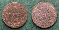 Polen 5 Groszy Nikolaus I. 1825-1855 -