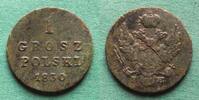 Polen unter Russland 1 Grosz polski Nikolaus I. 1825-1855 -