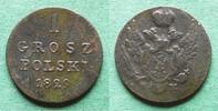 Polen unter Russland 1 Grosz polski Nikolaus I. 1825-1855 -