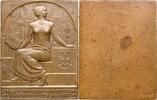 Poland 1931 Plague from 1931, Chemical Industry Association vz+ 1020,00 EUR  + 25,00 EUR frais d'envoi