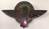 INSIGNE - ARMEE DE L'AIR - BASE AERIENNE 702 -