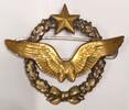 INSIGNE DE POITRINE - ESCADRILLES DE CHASSE DE L'ARMEE DE L'AIR POUR OFFICIER -