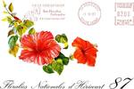 France  70400 - HERICOURT - FLORALIES NATIONALES 87  2,00 EUR  + 3,20 EUR frais d'envoi