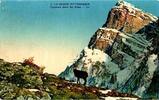 France  74 - CHAMOIS DANS LES ALPES  1,00 EUR  + 3,20 EUR frais d'envoi