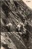 France  73 - ASCENSION DE LA MER DE GLACE  3,00 EUR  + 3,20 EUR frais d'envoi