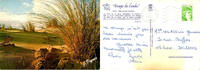 France  40 - LES LANDES - DES PAS SUR LA DUNE  1,99 EUR  + 3,20 EUR frais d'envoi