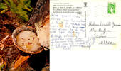 France  40 - VISAGE DES LANDES - GROS PLAN DU POT DE RESINE  1,99 EUR  + 3,20 EUR frais d'envoi