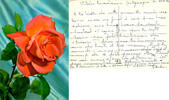   CARTE POSTALE - ROSE  1,99 EUR  + 3,20 EUR frais d'envoi