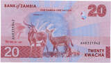 Zambie  20 Kwacha - Les chutes de Chishimba - Arbre à chandeliers - 2024 - Série AH NEUF
