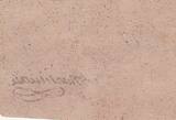France  3 livres - Vienne - Chatelleraud - 1791 TTB