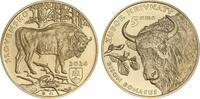 Slovaquie 5 euros 5 Euros 2024 - Le Bison -