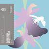 Saint-Marin Coffret BU Euro 2025 avec 5 € Argent Orchidée sauvage -