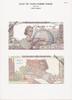 France 10000 francs 10000 Francs Génie Français - Planche Spécimen - 1967 -