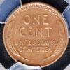 USA 1924-D Lincoln Cent PCGS VF-30; Choice Original 85,88 EUR  + 13,73 EUR frais d'envoi
