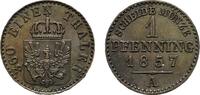 Brandenburg-Preußen Cu Pfennig Friedrich Wilhelm IV. 1840-1861 -