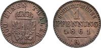 Brandenburg-Preußen Cu Pfennig 1861 A Wilhelm I. 1861-1888 TTB
