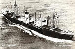 Niederlande Ansichtskarte Seefahrt Niederlande M.S. Bintang , St. My. Nederland -