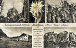 Deutschland Ansichtskarte Kampenwand um 1970 Prien am Chiemsee leicht ve... 8,00 EUR  + 200,00 EUR frais d'envoi