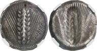 Grecques Nomos Lucanie - M&eacute;taponte NGC vz 1350,00 EUR  + 18,00 EUR frais d'envoi
