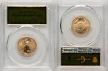 US Burnished Gold Eagle 1/4 oz Gold Foil Gold Eagles -