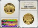 US G$50 Buffalo Gold Buffalos -