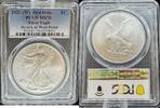Weltm&uuml;nzen 2022-W 2022-W Silver Eagle  First Strike PCGS MS70 112,27 EUR  + 38,86 EUR frais d'envoi