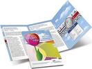5 euro Tulp 5 euro 2012 herdenkingsmunt zilver -